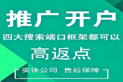 百度推广优化实战案例精选